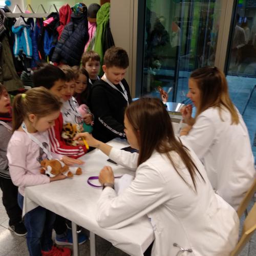 Teddy-Krankenhaus