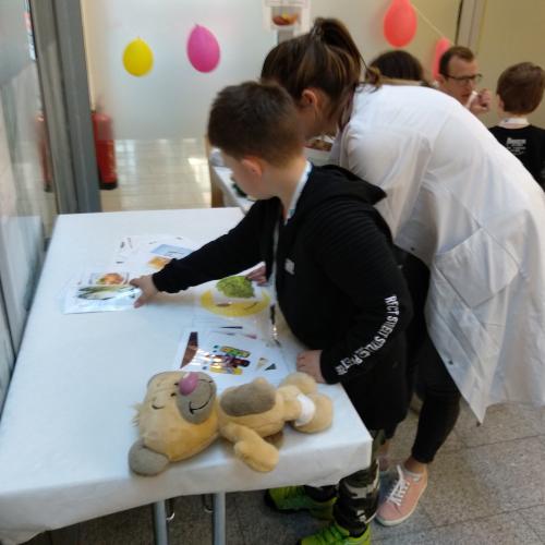 Teddy-Krankenhaus