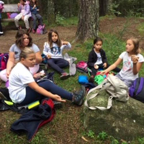 Kinder sitzen am Waldboden