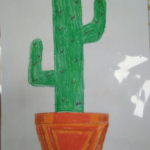 Kaktus1