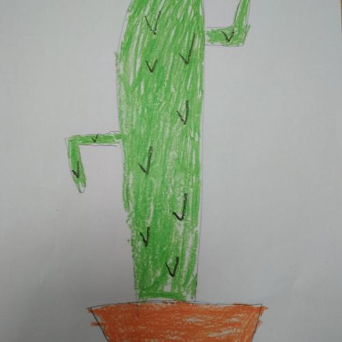 Kaktus4