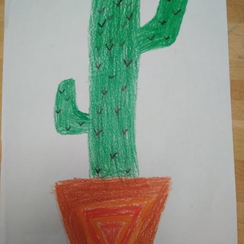 Kaktus6