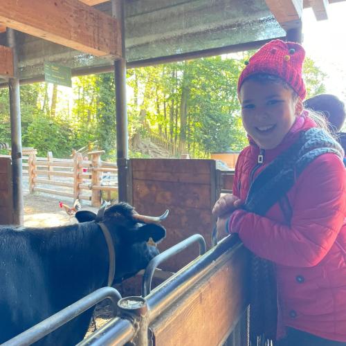 Kind lacht und steht neben einem Kalb