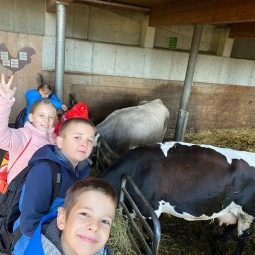Kinder lachen neben Kühen stehen in die Kamera