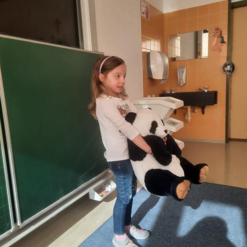 Kuscheltiere