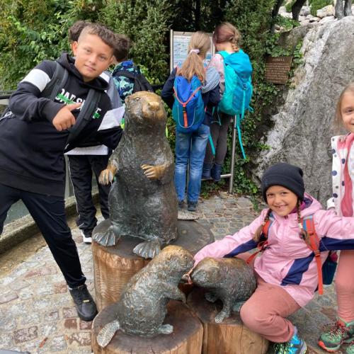 zoo9