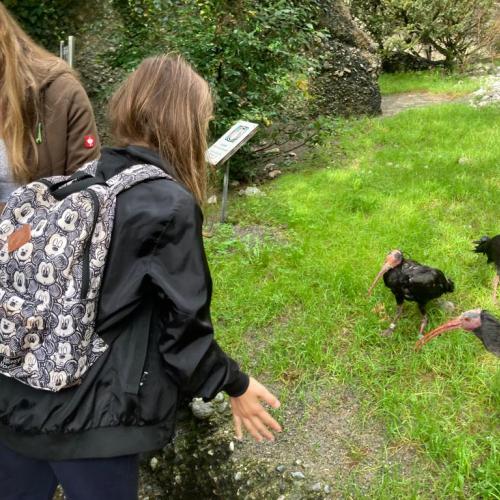 zoo2