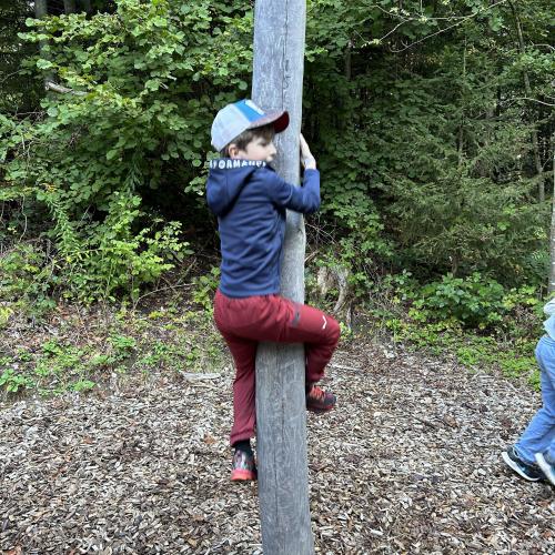 Kind klettert auf einen Baumstamm