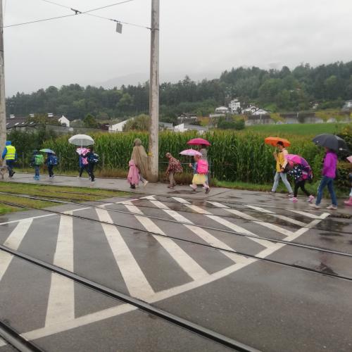 die Gruppe geht im Regen