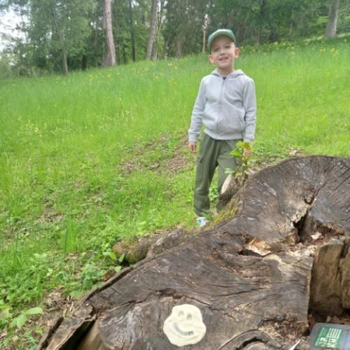 Kind steht im Hintergrund - vorne ein Baumgeist-Gesicht