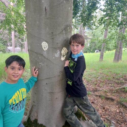 2 Buben zeigen ihre Arbeit am Baum