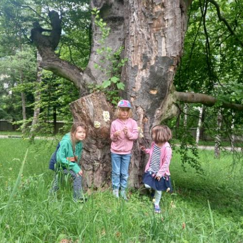 3 Kinder stehen vor einem riesigen Baum
