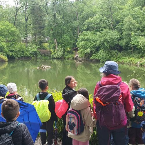 Die Kinder beobachten Enten