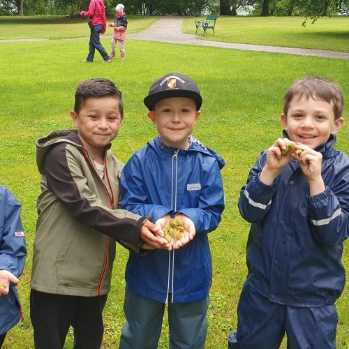 Die Kinder finden Dinge des Sommers