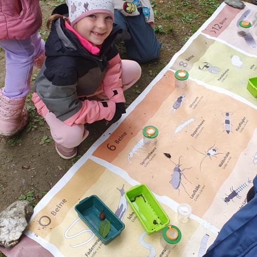 Die Kinder vergleichen die gefunden Tieren und ordnen sie zu