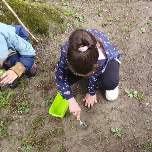 Die Kinder suchen Tiere