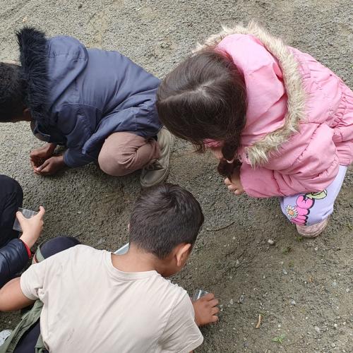 Die Kinder suchen Tiere