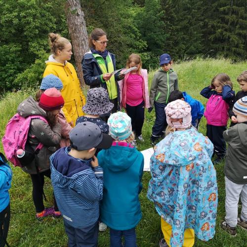 Die Kinder lernen Wichtiges über den Sommer