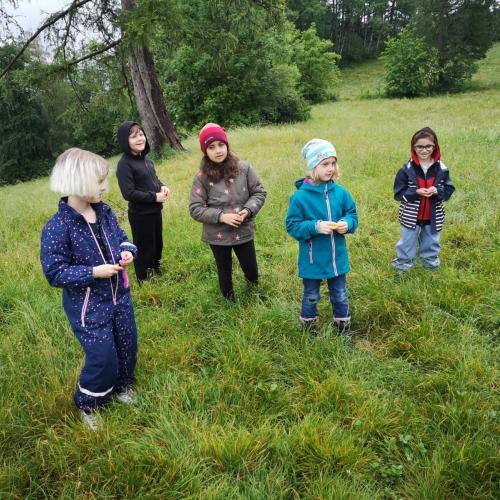 Die Kinder suchen den Sommer