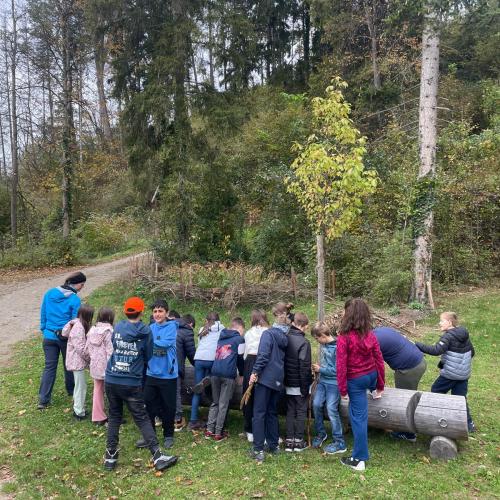 4b am Erforschen