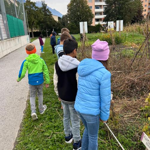 Kinder am Feld