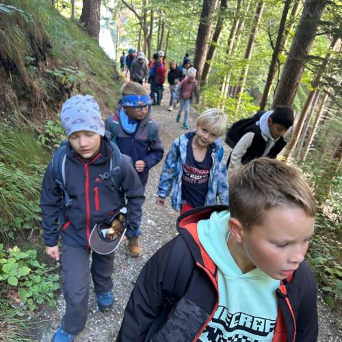 Kinder wandern im Wald