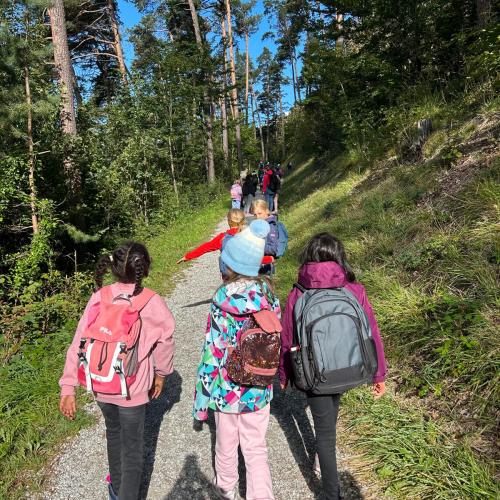 Kinder wandern im Wald