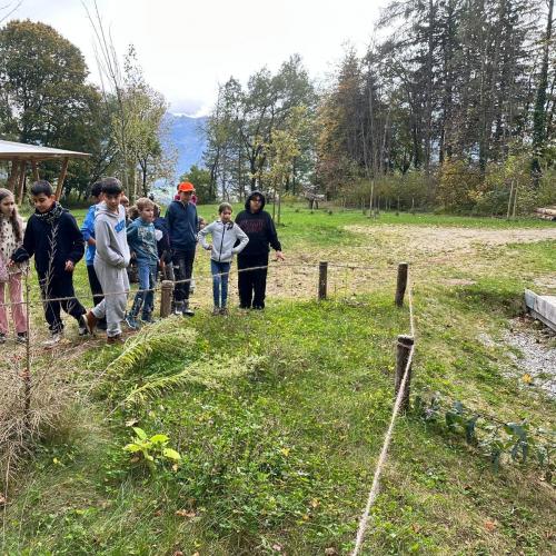 Die Kinder forschen auf der Wiese