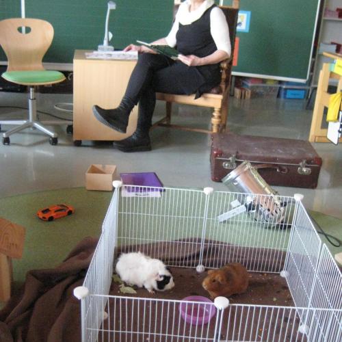 Im Vordergrund sieht man die Meerschweinchen - dahinter sitzt die Lehrerin und liest die Geschichte