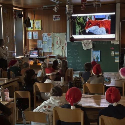 Man sieht eine verdunkelte Klasse und Kinder mit Weihnachtsmann-Mützen von hinten, wie sie einen Film über einen Fuchs ansehen