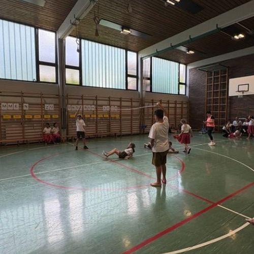 Blick in den Turnsaal - manche Kinder rollen sich am Boden, andere halten die Seile zum Springen