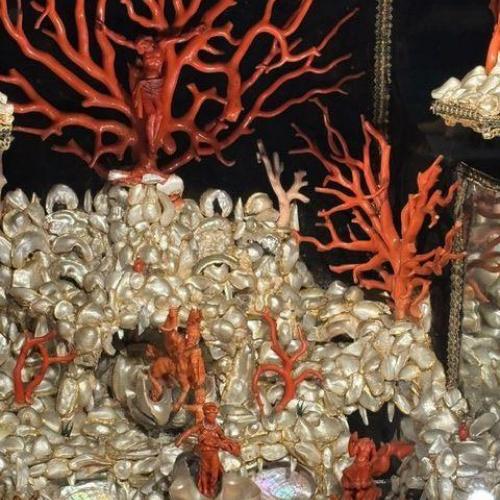 Bild eines Ausstellungsobjektes mit Muscheln und Korallen aus der Zeit Ferdinand II