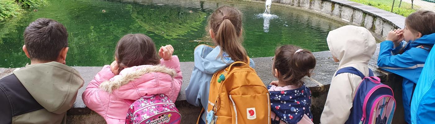 Die Kinder beobachten Enten