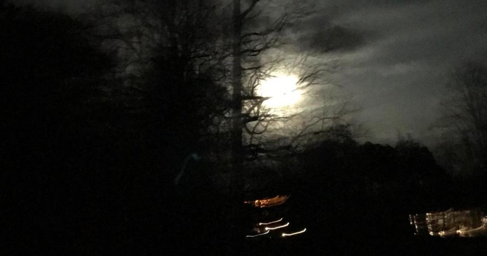 Mond hinter Baum