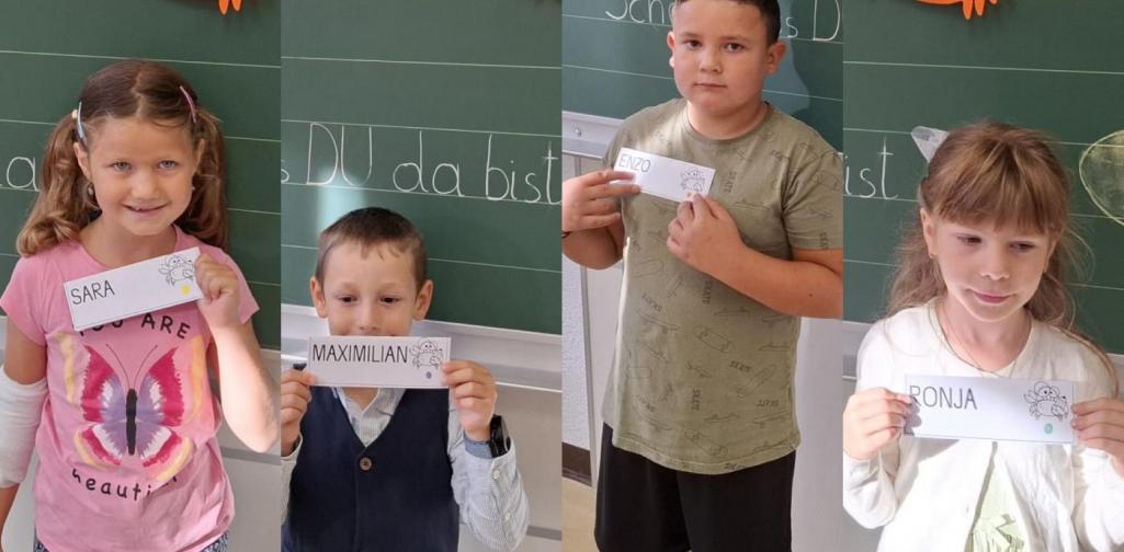 1b 1b