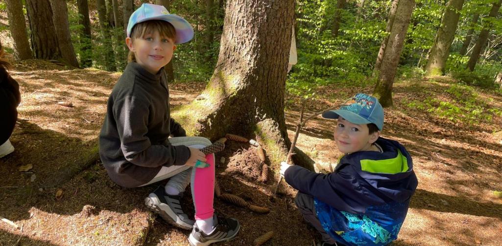 „Zwei Schüler sitzen im Wald am Fuß eines Baumes und sammeln Tannenzapfen und Stöcke.“