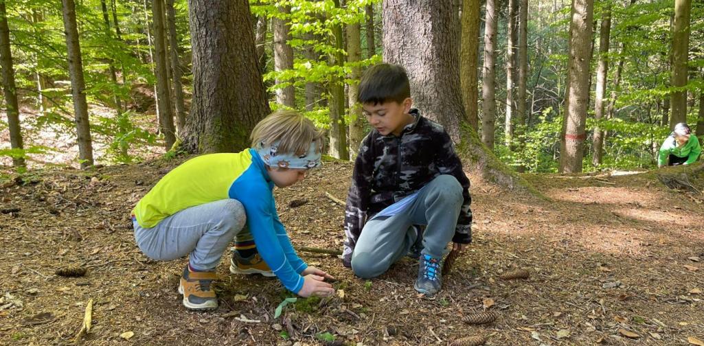 „Zwei Schüler knien im Wald und untersuchen gemeinsam Pflanzen und Naturmaterialien auf dem Waldboden.“