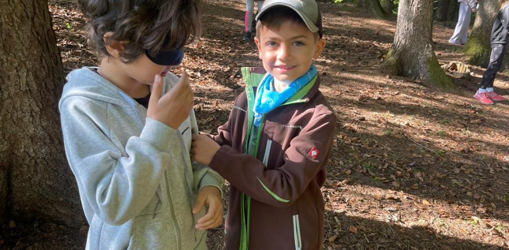 „Zwei Schüler stehen im Wald, einer mit verbundenen Augen, während der andere ihn unterstützt.“