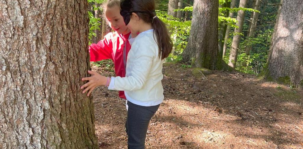 „Zwei Schülerinnen stehen im Wald an einem Baum, eine mit verbundenen Augen, während die andere sie begleitet.“