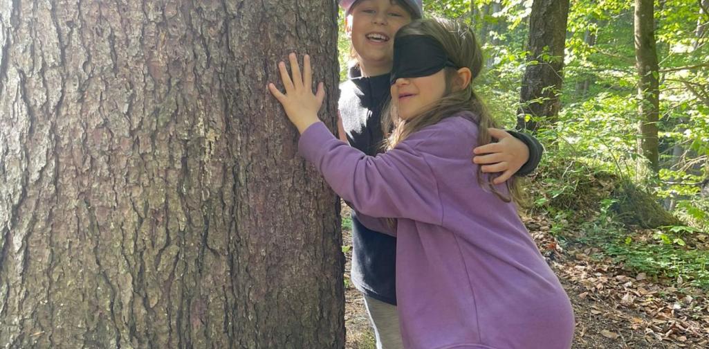 „Zwei Schüler stehen im Wald an einem Baum, eine Person mit verbundenen Augen, während die andere sie unterstützt.“