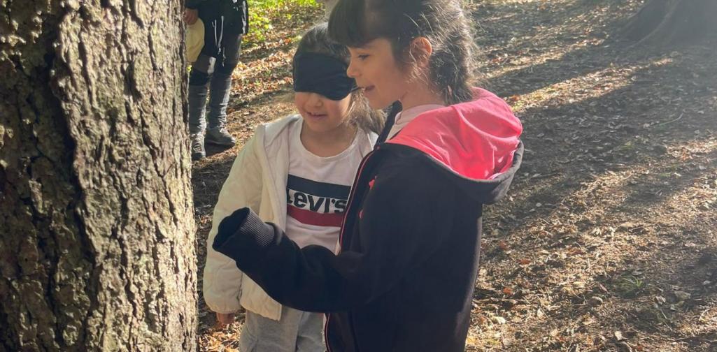 „Zwei Schülerinnen stehen im Wald an einem Baum, eine mit verbundenen Augen, während die andere sie beim Erkunden unterstützt.“