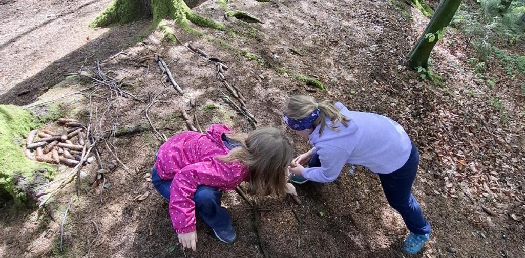 „Zwei Kinder knien im Wald auf einem erdigen Hang zwischen hohen Bäumen und untersuchen gemeinsam etwas am Boden. Um sie herum liegen Äste, Zapfen und Laub, während Sonnenlicht durch die Blätter fällt.“