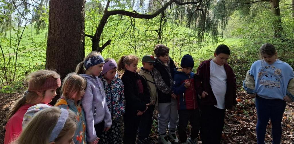 „Eine Gruppe von Kindern steht im Wald unter hohen Bäumen in einer Reihe und schaut aufmerksam auf den Boden. Sonnenlicht fällt durch die Äste, während sie gemeinsam etwas beobachten oder besprechen.“