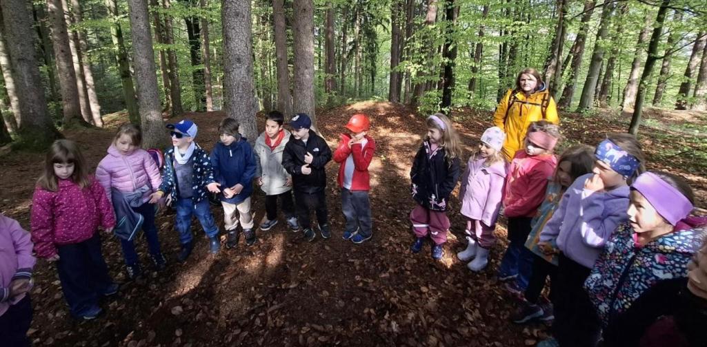 „Eine Gruppe von Kindern steht mit einer erwachsenen Begleitperson im Kreis auf einem Waldweg. Umgeben von hohen Bäumen und Laub hören sie aufmerksam zu und tauschen sich aus.“