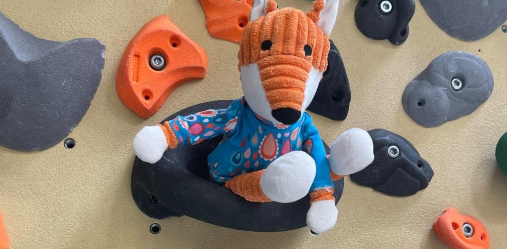Ein Stofftier-Fuchs sitzt zwischen den Griffen einer Kletterwand und blickt in die Kamera.
