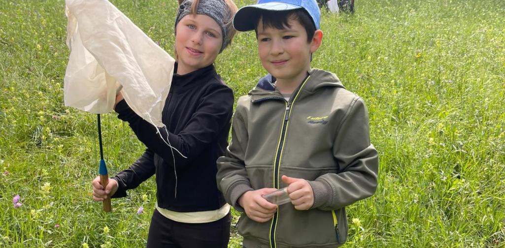 VS Amras Kinder erforschen mit einem Kescher eine Wiese und beobachten dabei Pflanzen und kleine Tiere in ihrem Lebensraum.