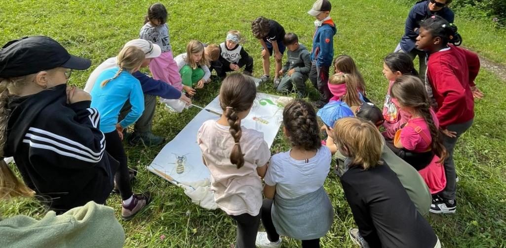 VS Amras Kinder und eine Lehrperson besprechen auf einer Wiese gemeinsam ihre Beobachtungen aus der Naturerkundung.