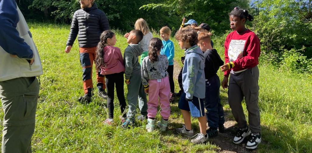 VS Amras Kinder hören bei einer Exkursion auf einer Wiese den Erklärungen einer Begleitperson zu und tauschen ihre Beobachtungen aus.