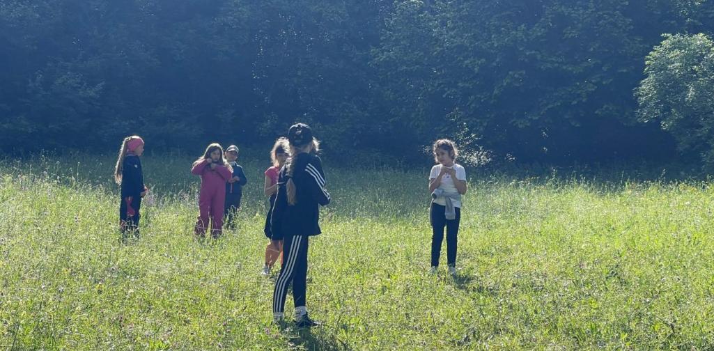 VS Amras Kinder stehen auf einer Wiese und tauschen sich während einer Naturerkundung über ihre Beobachtungen aus.