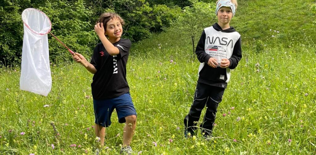 VS Amras Kinder erkunden mit einem Kescher eine blühende Wiese am Waldrand und beobachten die Natur.